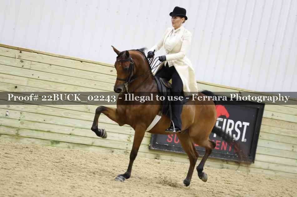 Proof 22BUCK_02243