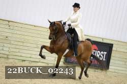 22BUCK_02243 proof
