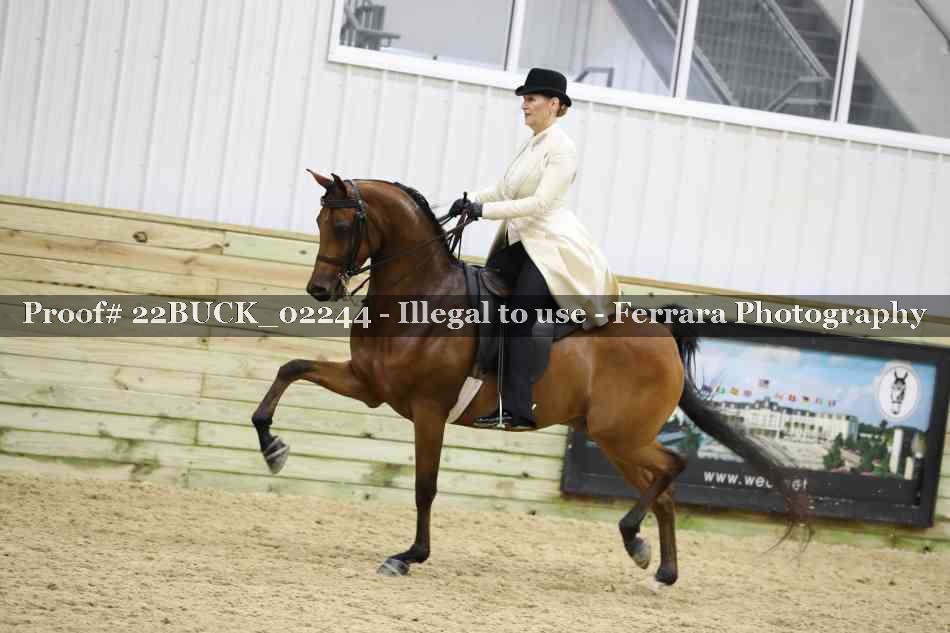 Proof 22BUCK_02244