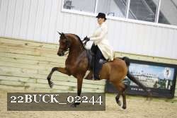 22BUCK_02244 proof