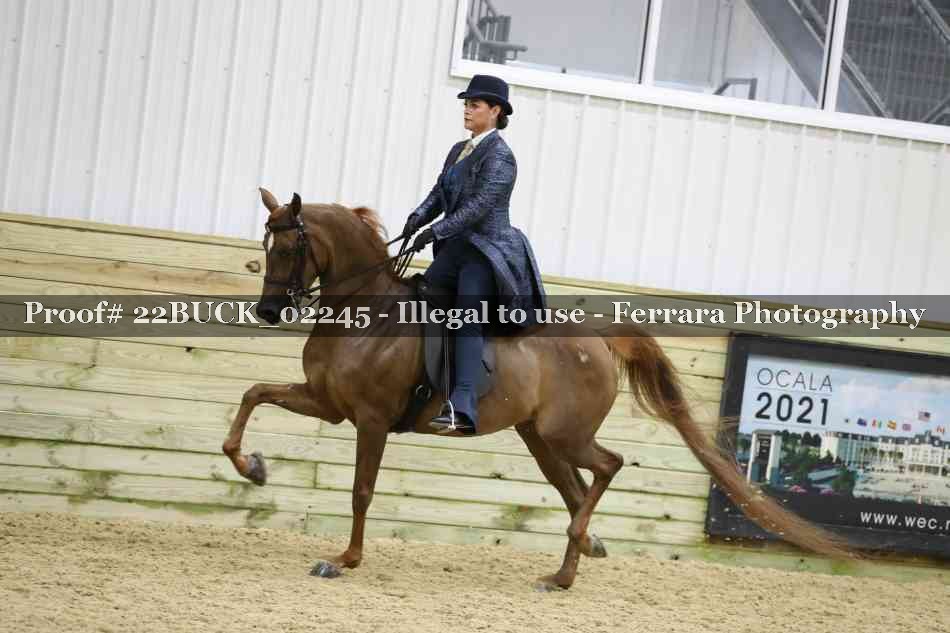 Proof 22BUCK_02245