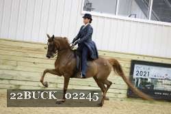 22BUCK_02245 proof
