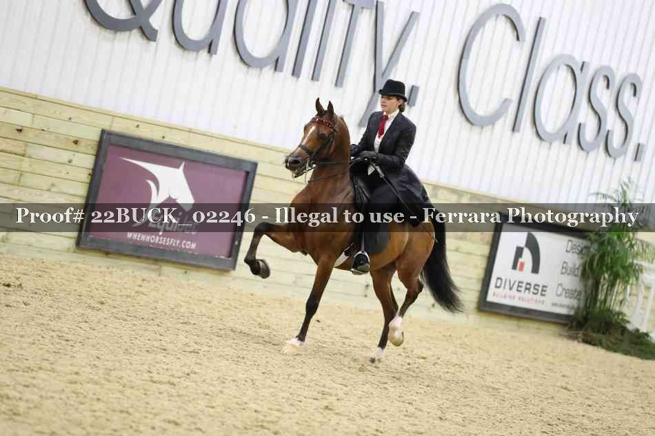 Proof 22BUCK_02246