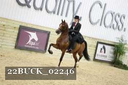 22BUCK_02246 proof