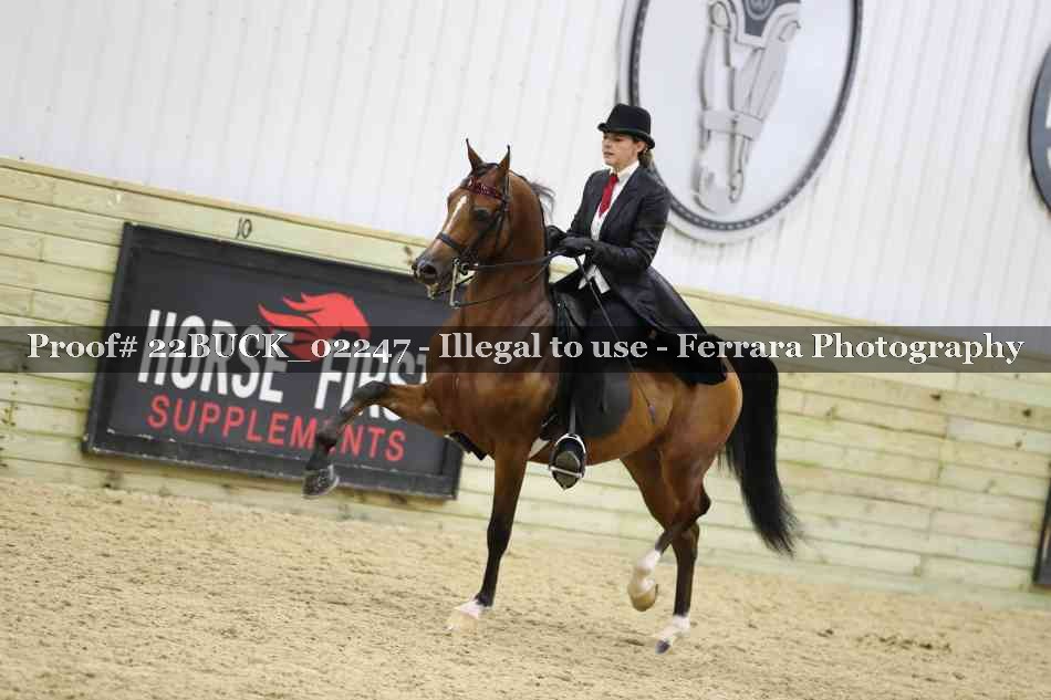 Proof 22BUCK_02247