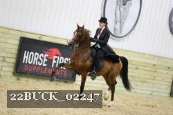 22BUCK_02247 proof