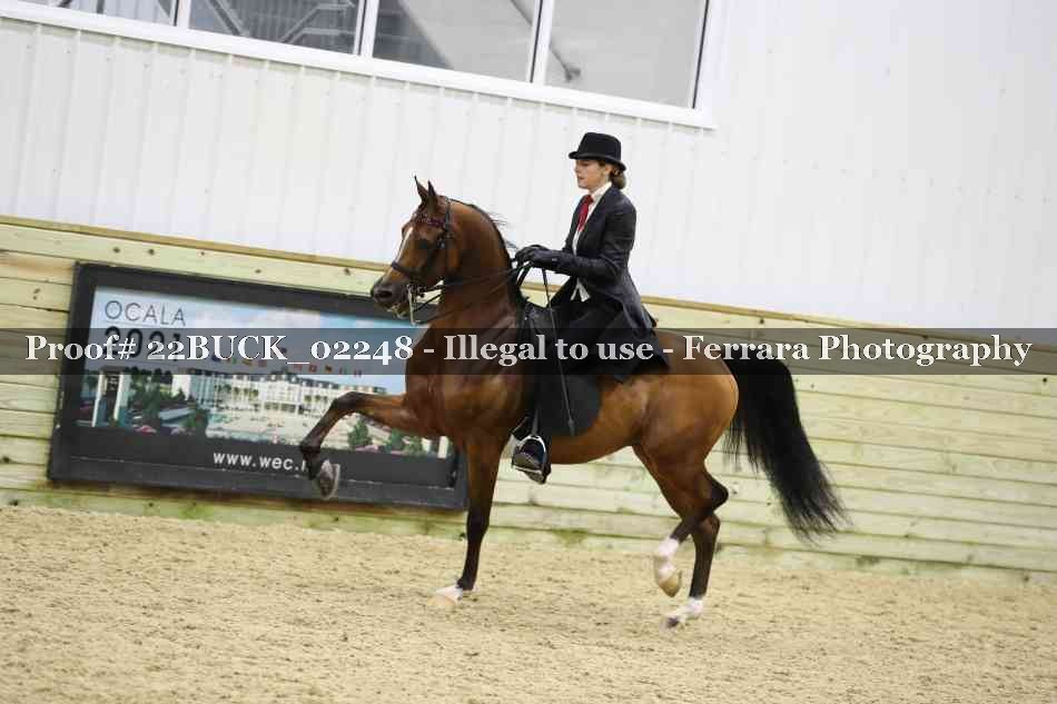 Proof 22BUCK_02248