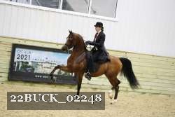 22BUCK_02248 proof