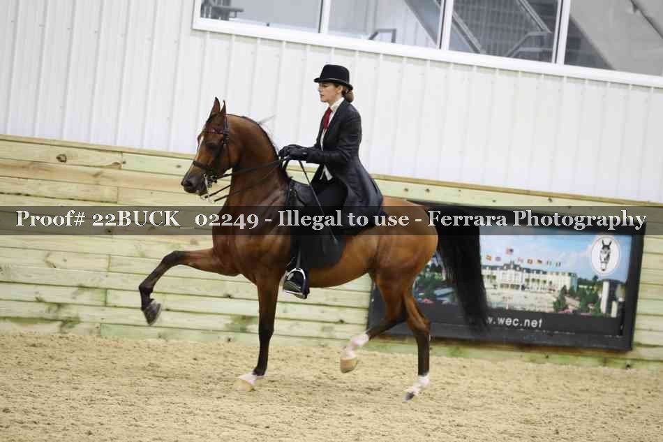 Proof 22BUCK_02249