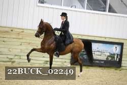 22BUCK_02249 proof