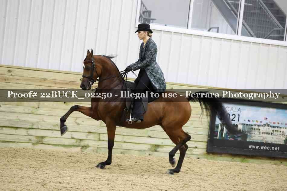 Proof 22BUCK_02250