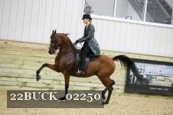 22BUCK_02250 proof