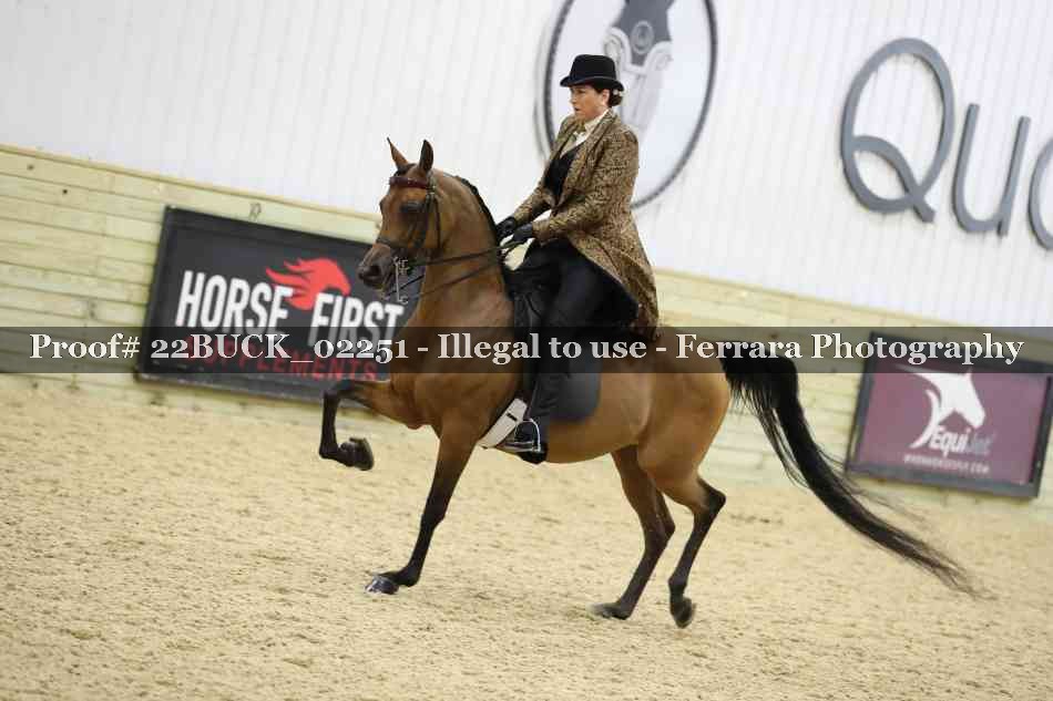 Proof 22BUCK_02251