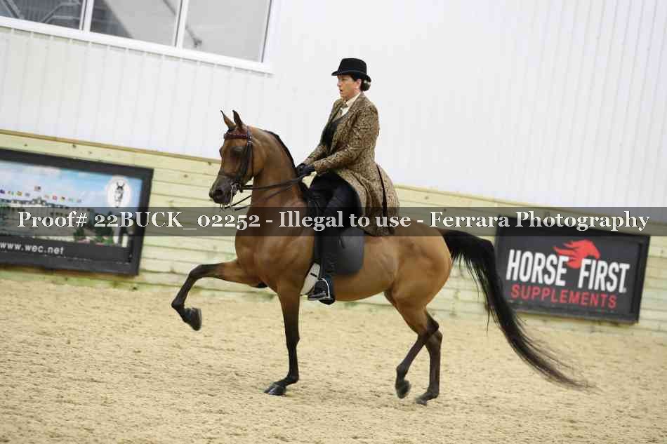 Proof 22BUCK_02252
