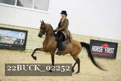 22BUCK_02252 proof