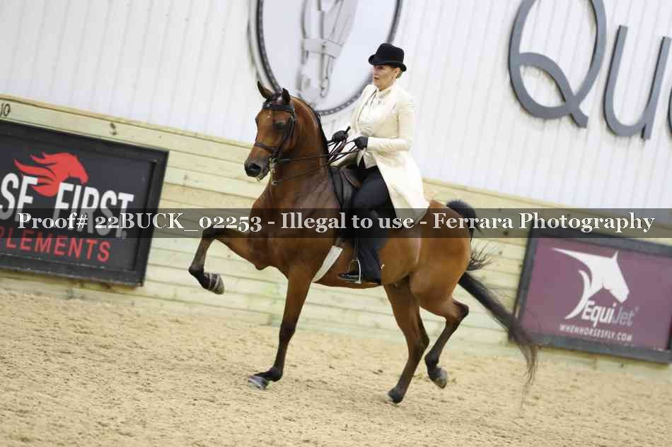 Proof 22BUCK_02253