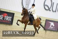 22BUCK_02253 proof