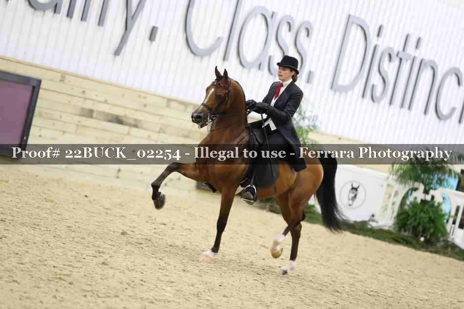 Proof 22BUCK_02254