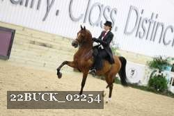22BUCK_02254 proof