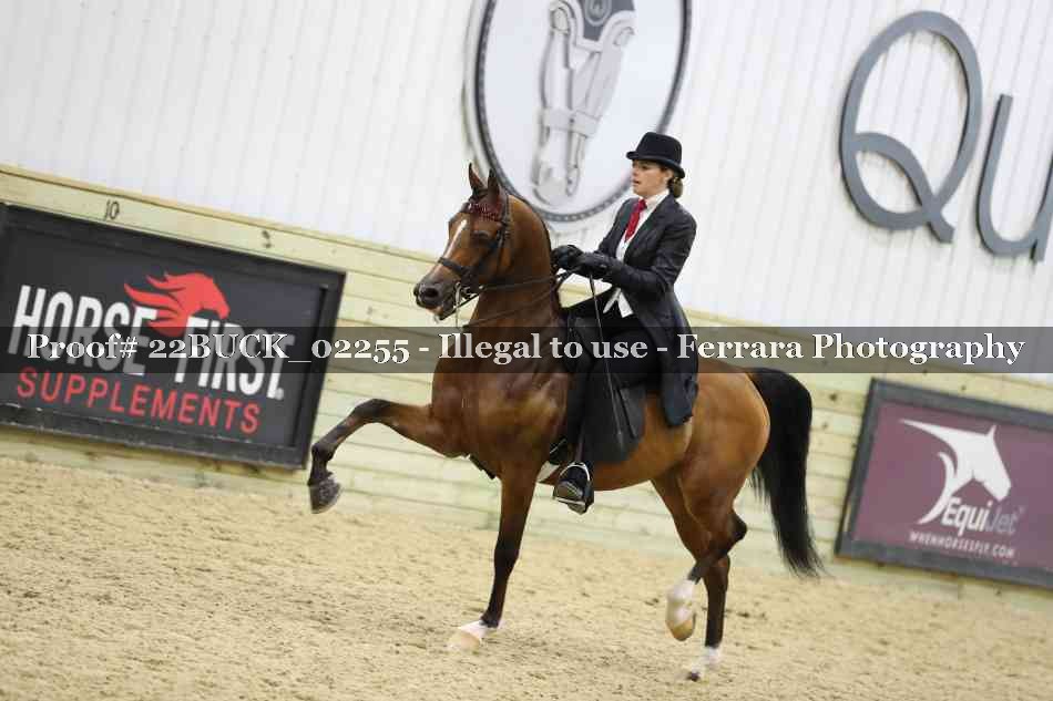 Proof 22BUCK_02255