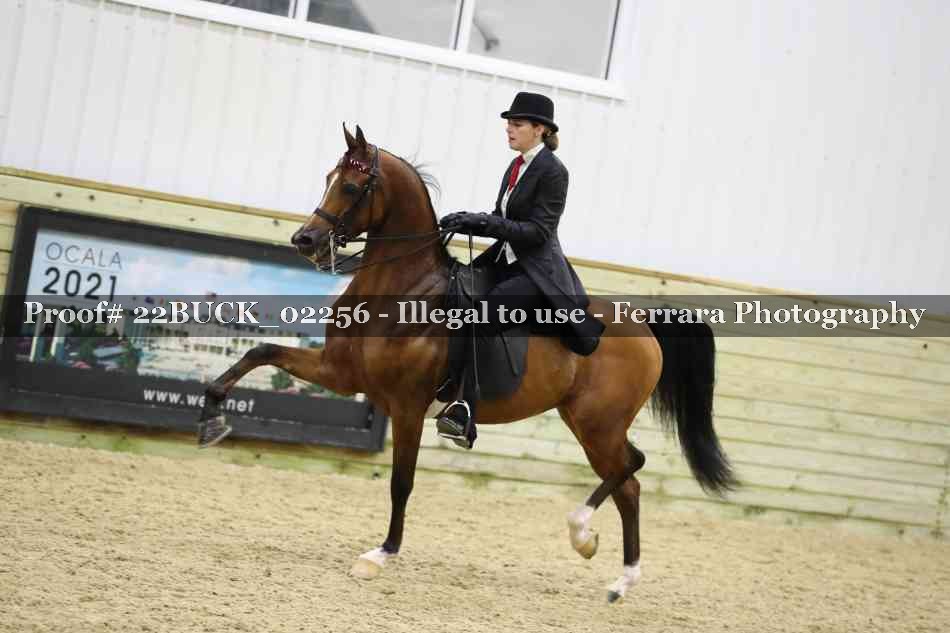 Proof 22BUCK_02256