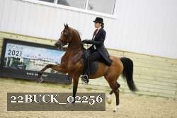 22BUCK_02256 proof