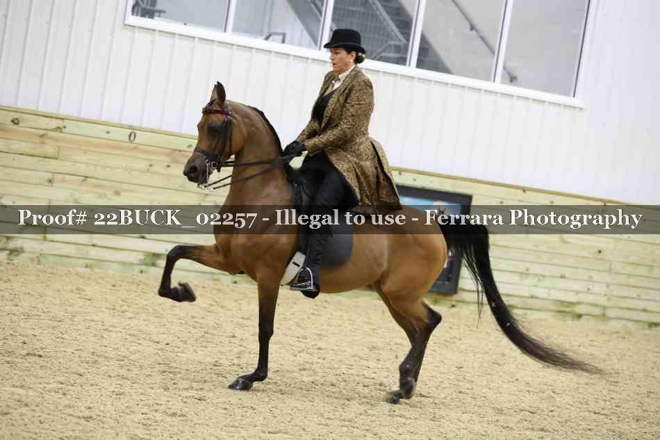 Proof 22BUCK_02257