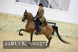 22BUCK_02257 proof