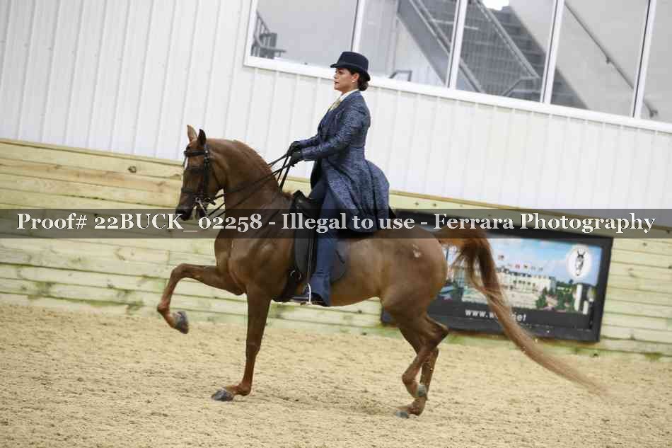 Proof 22BUCK_02258