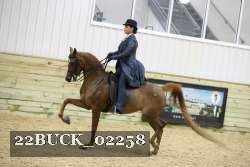 22BUCK_02258 proof