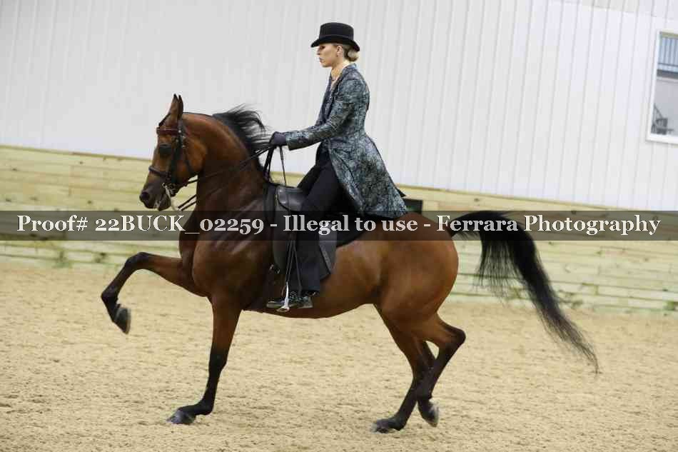 Proof 22BUCK_02259