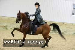 22BUCK_02259 proof