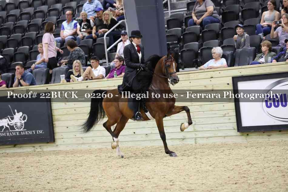 Proof 22BUCK_02260