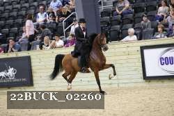 22BUCK_02260 proof