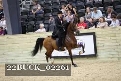 22BUCK_02261 proof