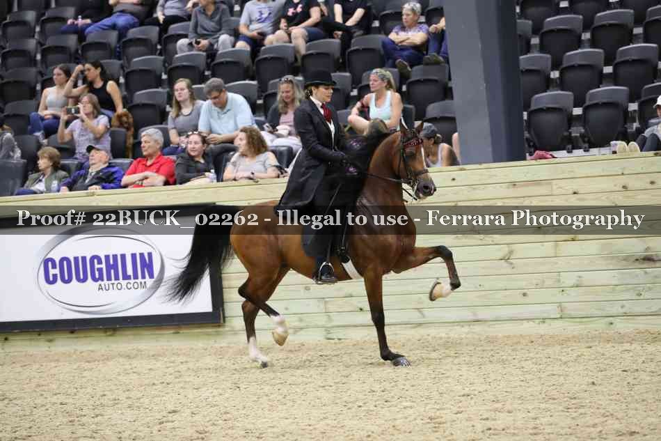 Proof 22BUCK_02262