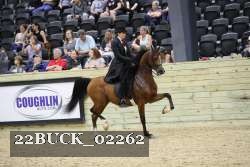 22BUCK_02262 proof