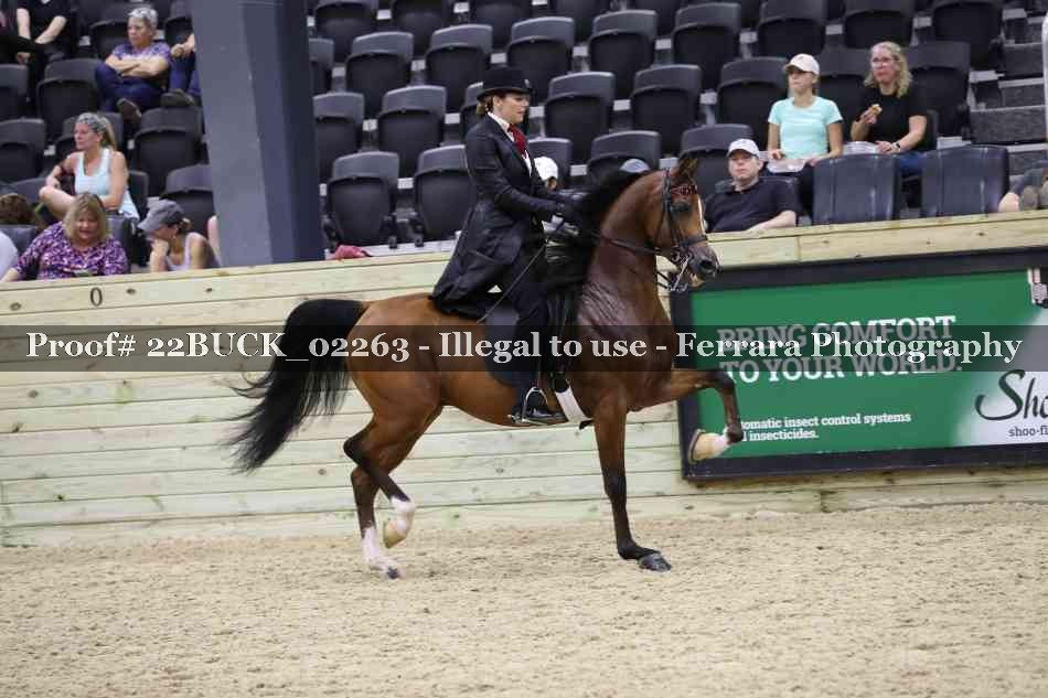Proof 22BUCK_02263