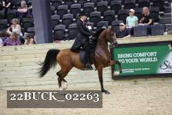 22BUCK_02263 proof