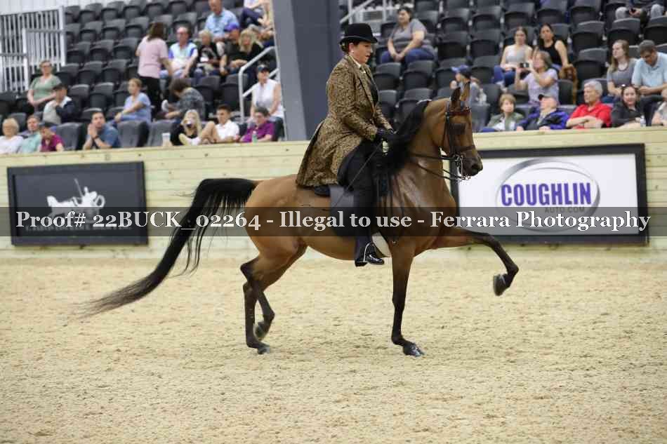 Proof 22BUCK_02264