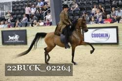 22BUCK_02264 proof