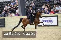 22BUCK_02265 proof
