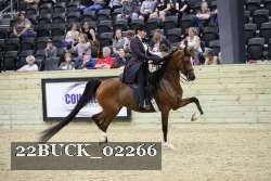 22BUCK_02266 proof