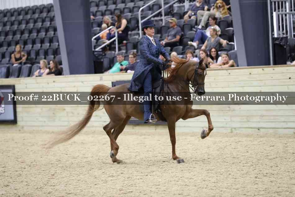Proof 22BUCK_02267
