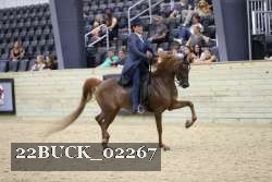 22BUCK_02267 proof