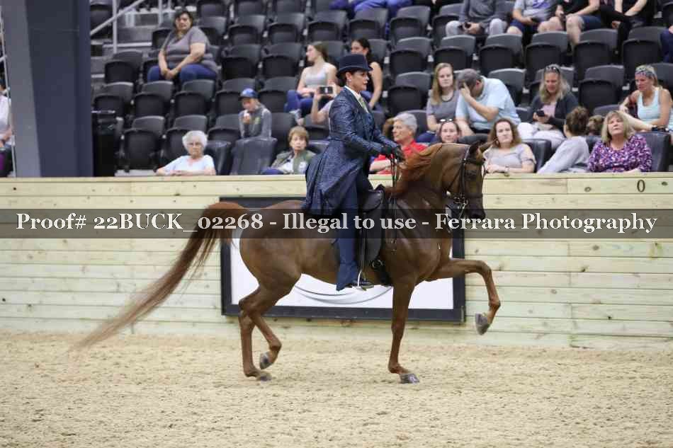 Proof 22BUCK_02268