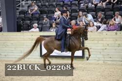 22BUCK_02268 proof