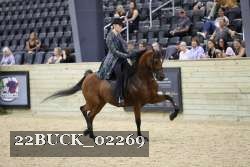 22BUCK_02269 proof