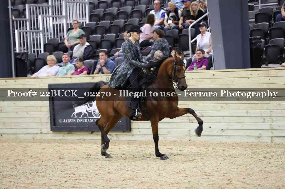 Proof 22BUCK_02270