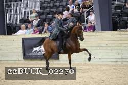 22BUCK_02270 proof